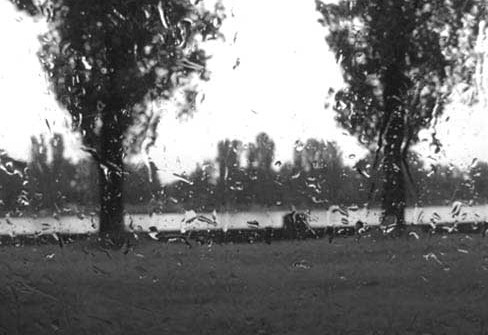 rain